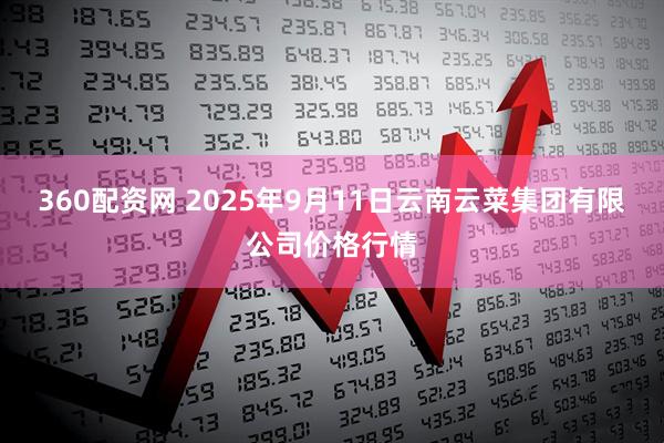 360配资网 2025年9月11日云南云菜集团有限公司价格行情