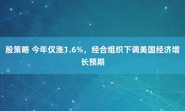 股策略 今年仅涨1.6%，经合组织下调美国经济增长预期