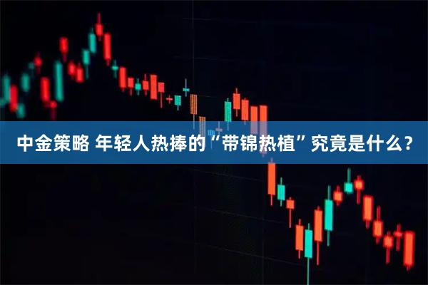 中金策略 年轻人热捧的“带锦热植”究竟是什么？