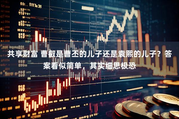 共享财富 曹叡是曹丕的儿子还是袁熙的儿子？答案看似简单，其实细思极恐