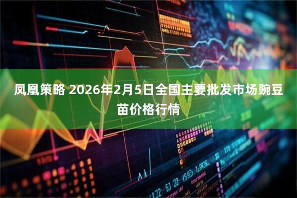 凤凰策略 2026年2月5日全国主要批发市场豌豆苗价格行情